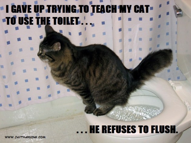 Toilet Training