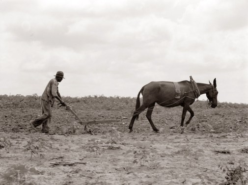 5-9-14 Sow in Tears (a Sonnet)