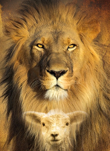 Lion-Lamb
