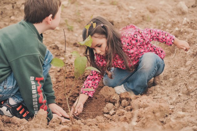 today's seed, tomorrow's fruit