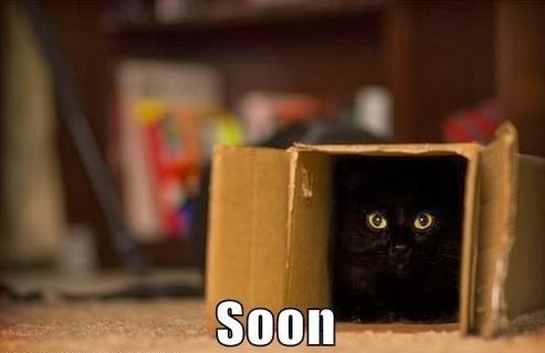 waiting-for-the-right-moment